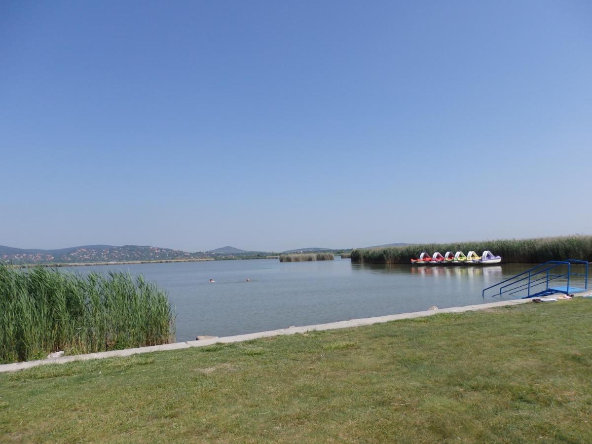 Villa Orgona Vendeghaz Velence Exterior foto